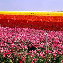 《仙剑奇侠传七》宣布DLC“人间如梦” 2月14日正式上线